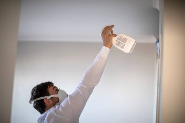Best Emergency Mold Removal  in Reedley, CA