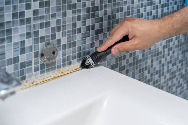 Best Attic Mold Removal  in Reedley, CA
