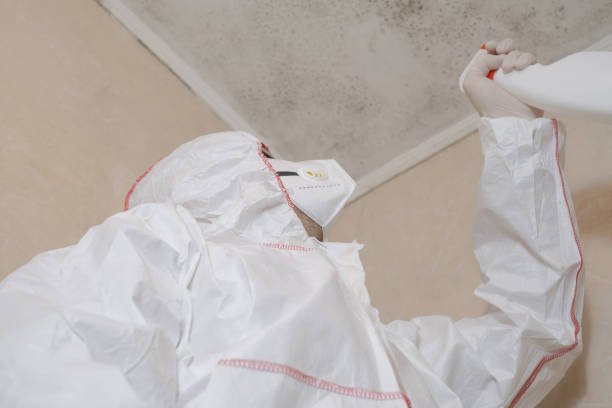 Best Attic Mold Removal  in Reedley, CA